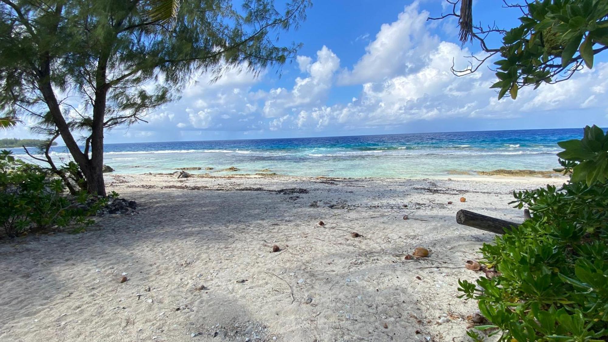 Moorea Chill And Beach Lodge Teavaro Exterior foto